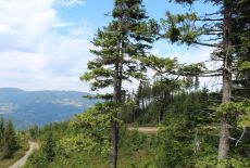 BESKID ŚLĄSKI