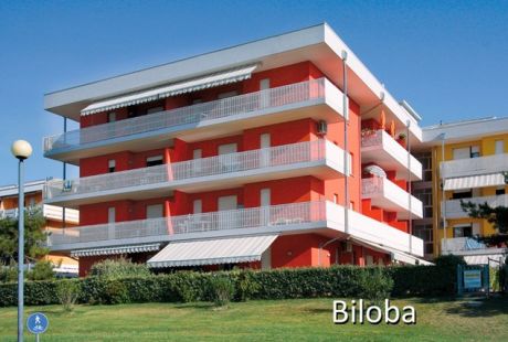 BILOBA BILOBA